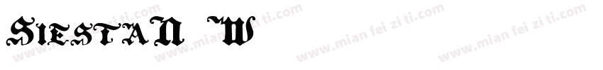 SiestaN4W05字体转换