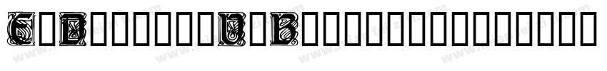 E4DigitalV2Bold-ddg6字体转换