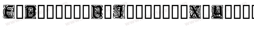 E4DigitalV2Italic-gX3Y字体转换