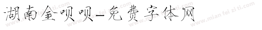 湖南金呗呗字体转换