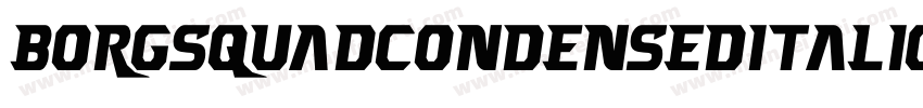 BorgsquadCondensedItalic-zZE1字体转换