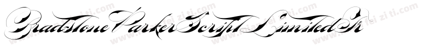 BradstoneParkerScriptLimitedFreeVersion-EEY4字体转换