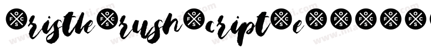 BristleBrushScriptDe字体转换