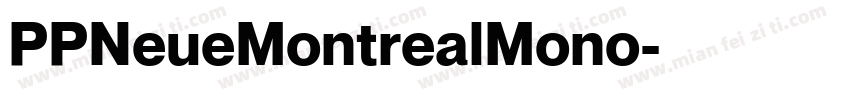 PPNeueMontrealMono字体转换 PPNeueMontrealMono字体转换