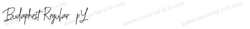 BudaphestRegular-48pY字体转换