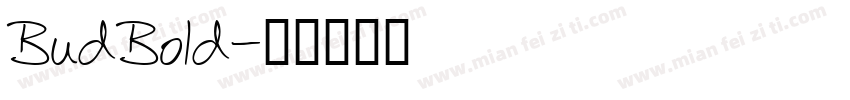 BudBold字体转换