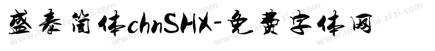 盛泰简体chnSHX字体转换