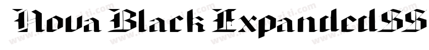 NovaBlackExpandedSSK字体转换