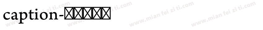 caption字体转换