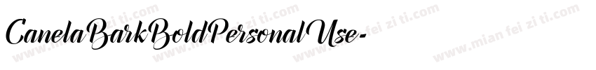 CanelaBarkBoldPersonalUse字体转换