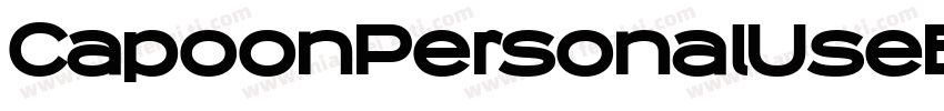 CapoonPersonalUseBlackItalic-r9q7字体转换
