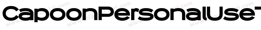 CapoonPersonalUseThinItalic-dEVK字体转换