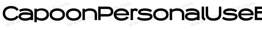CapoonPersonalUseBlackItalic-r9q7字体转换