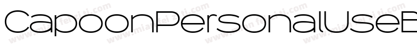 CapoonPersonalUseBlackItalic-r9q7字体转换