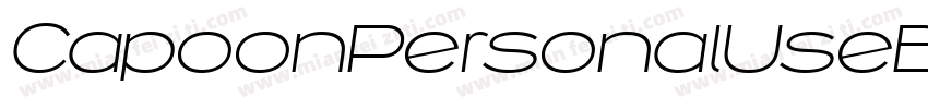 CapoonPersonalUseBlackItalic-r9q7字体转换