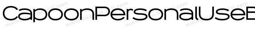 CapoonPersonalUseBlackItalic-r9q7字体转换