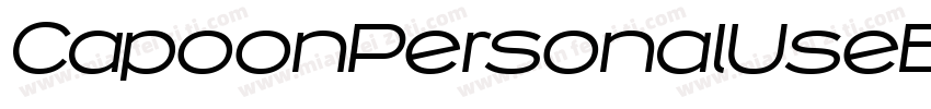 CapoonPersonalUseBlackItalic-r9q7字体转换