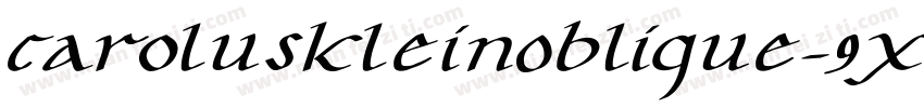 CaroluskleinOblique-9X4K字体转换