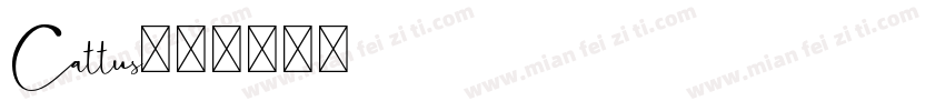 Cattus字体转换