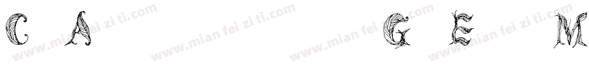 CfAdaptiveGrExtMedium字体转换