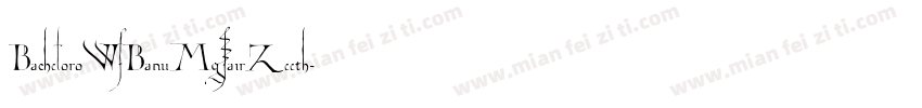 BacheloroWfBanuMgsairZeeth字体转换