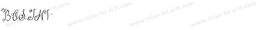 BOSTNI字体转换
