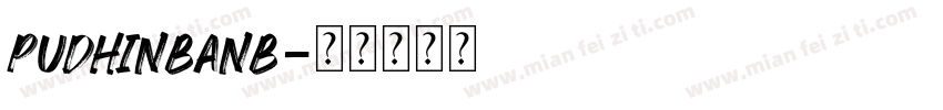 PUDHINBANB字体转换