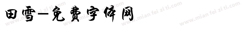 田雪字体转换