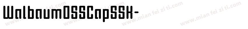 WalbaumOSSCapSSK字体转换