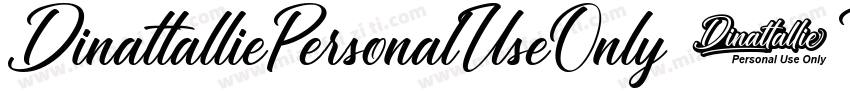 DinattalliePersonalUseOnly-6Ye6D字体转换
