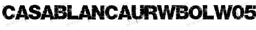 CasablancaURWBolW05-字体转换