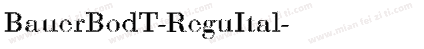 BauerBodT-ReguItal字体转换
