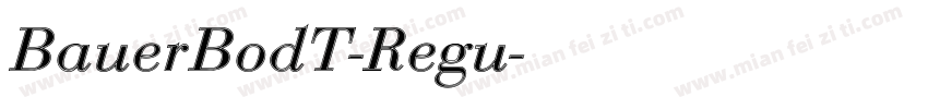 BauerBodT-Regu字体转换