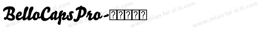 BelloCapsPro字体转换