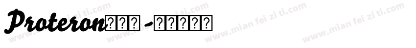 Proteron转换器字体转换