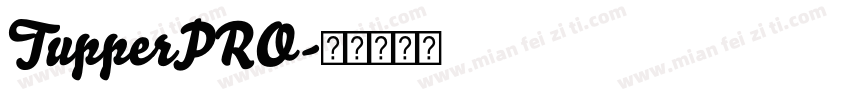 TupperPRO字体转换