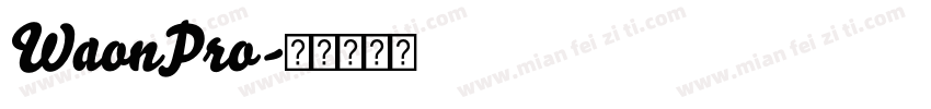 WaonPro字体转换