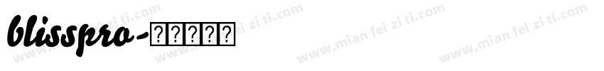 blisspro字体转换