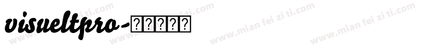 visueltpro字体转换