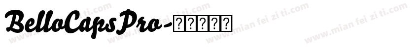BelloCapsPro字体转换