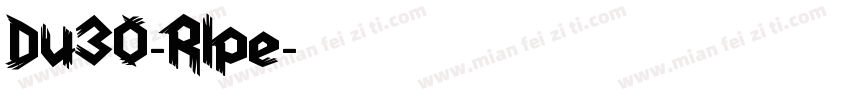 Du30-Rlpe字体转换
