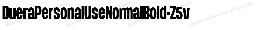 DueraPersonalUseNormalBold-Z5v8字体转换