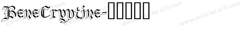 BeneCryptine字体转换