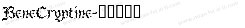 BeneCryptine字体转换