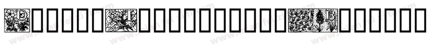 DurbinInitials-o3JB字体转换