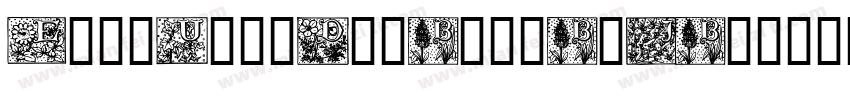 EditUndoDotBrk-B3JB下字体转换