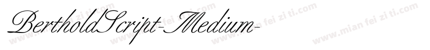 BertholdScript-Medium字体转换