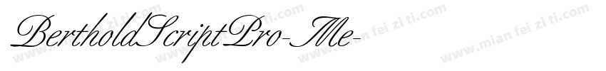 BertholdScriptPro-Me字体转换