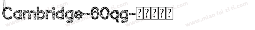 Cambridge-60qg字体转换