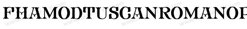 FhaModTuscanRomanOpenNcv-AW37字体转换